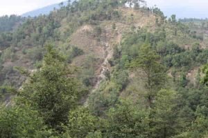 Fig. 3. The hillside where the bus ran off the road. You can see the bus smack in the middle of the photo.