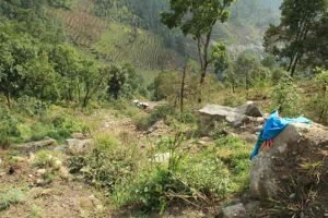 Fig. 4. View from where the bus ran off the road. The is slight to the left of the center.