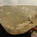 The hatchlings in their oxygen-air polythene bag containers.