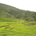 One of the recently build artificial fish ponds.