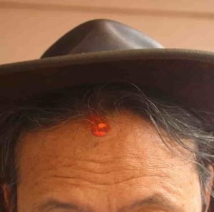 Read more about the article Tibetan-Buddhist Nun Recommends ‘Charming’ a Snake by a Hindu Priest