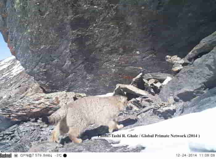 Read more about the article Shooting For Glory