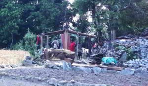 Read more about the article Project Update: Report from Thangpalkot