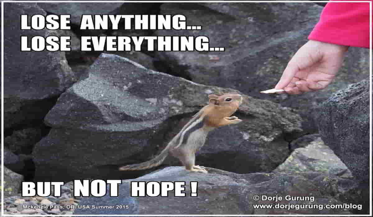 Read more about the article PAUTA Students: Follow Your Dreams…They’ll Take You Places