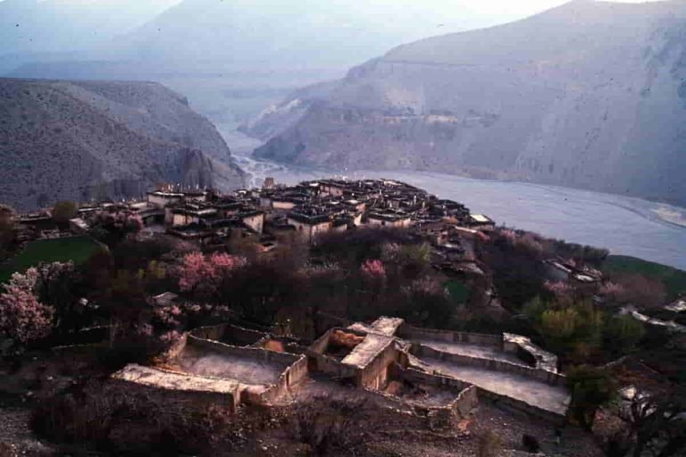 04 07 25 tangbe modified