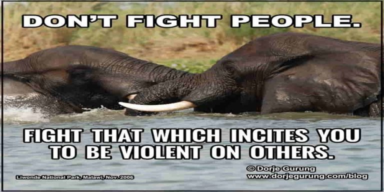 dont fight people feat image