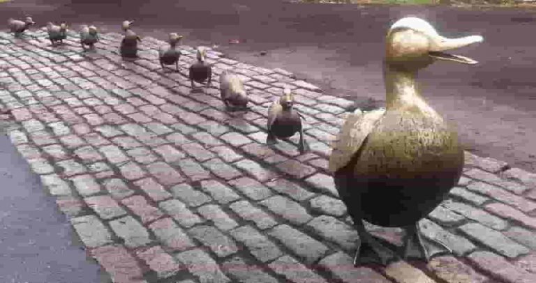 duck sculpture in boston park 01 feat image