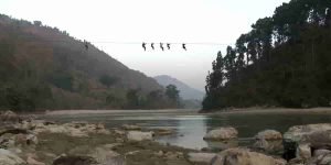 Read more about the article Costly Education: Kids on a Wire
