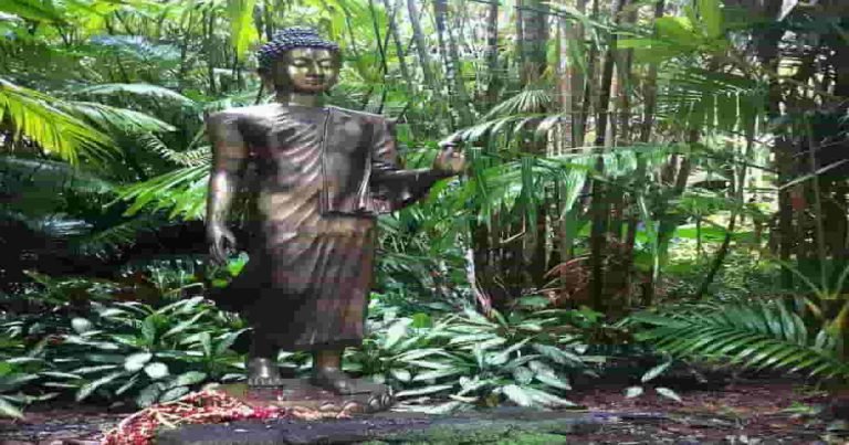 buddha in Hawaii