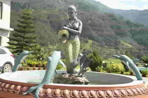 Read more about the article Mermaid, Mountains And More