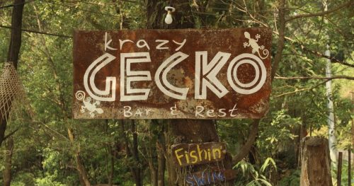 Read more about the article Life’s a Beach…at Krazy Gecko