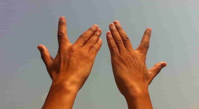 chotu s hands ix feat image