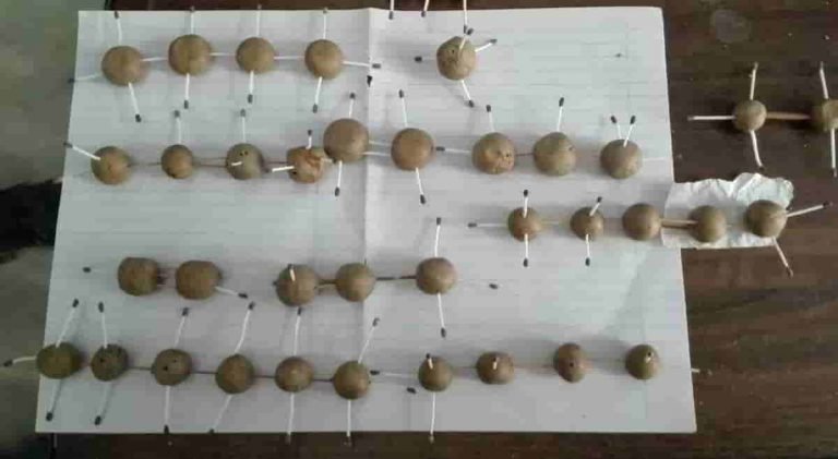 Namrats HC models feat image