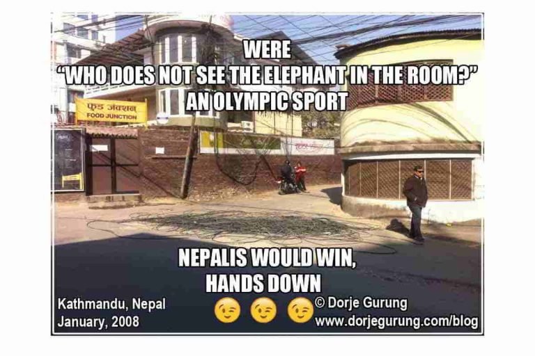 elephant in the room feat image