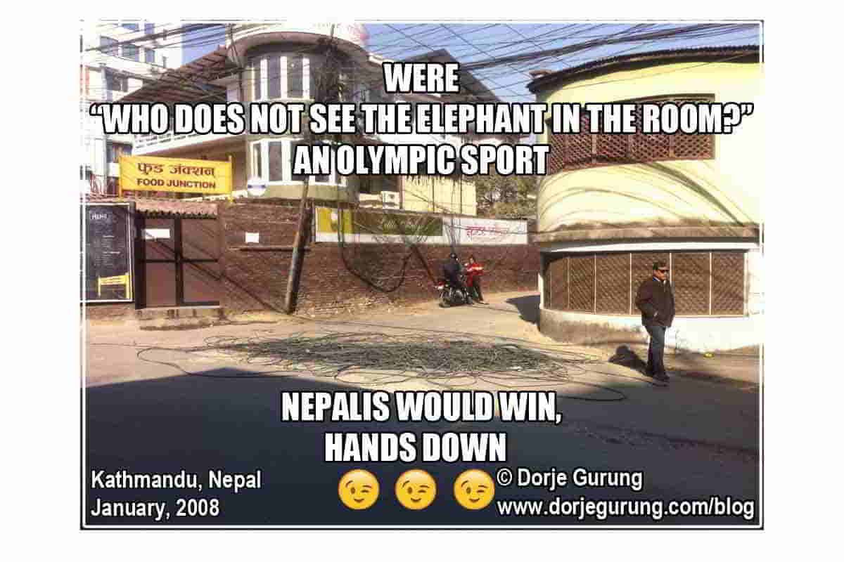 Read more about the article The Elephant in The Room