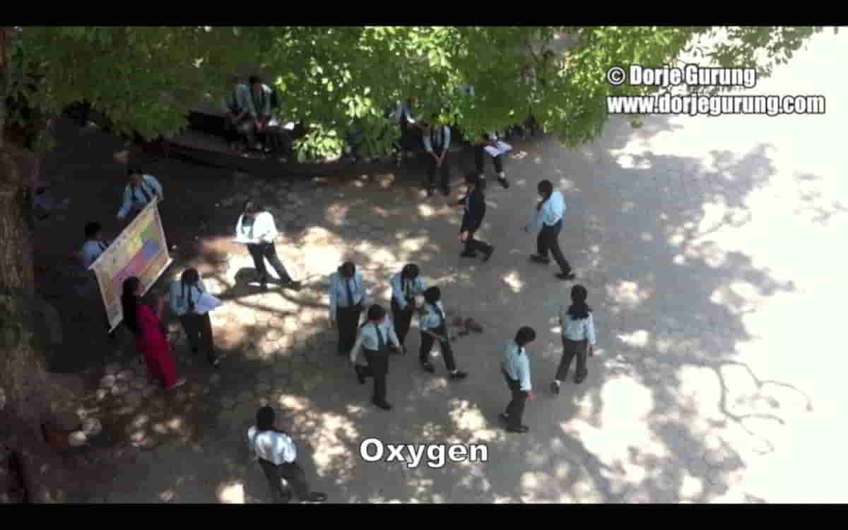 Read more about the article Modeling Atoms: When You Don’t Have Much, Make Creative Use of The Little You Do