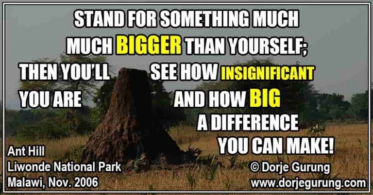 stand for something much bigger 0031 featimage