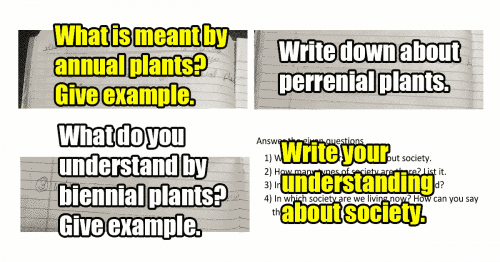 Read more about the article What Do You Understand by Nepanglish? (Whatever It Is, It’s Wrong!!)