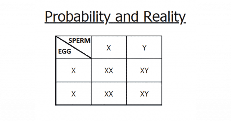 sex probability and reality featimage
