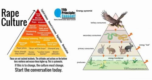 Read more about the article Casual Sexism, Rape Culture, Sexual Predators, Producers, Energy Pyramid, and Apex Predators