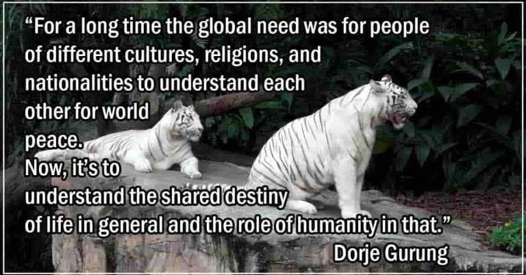 shared destiny featimage