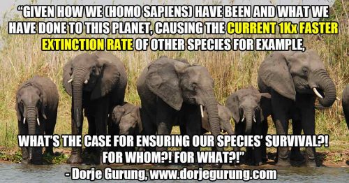 Read more about the article What’s the case for the continued survival of Homo Sapiens?