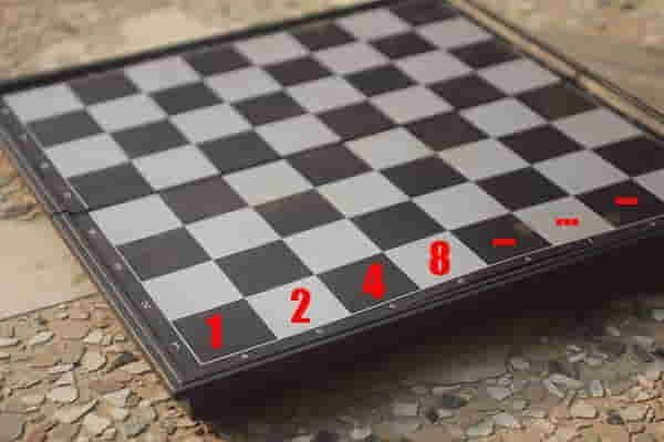chessboard rice grans 1044