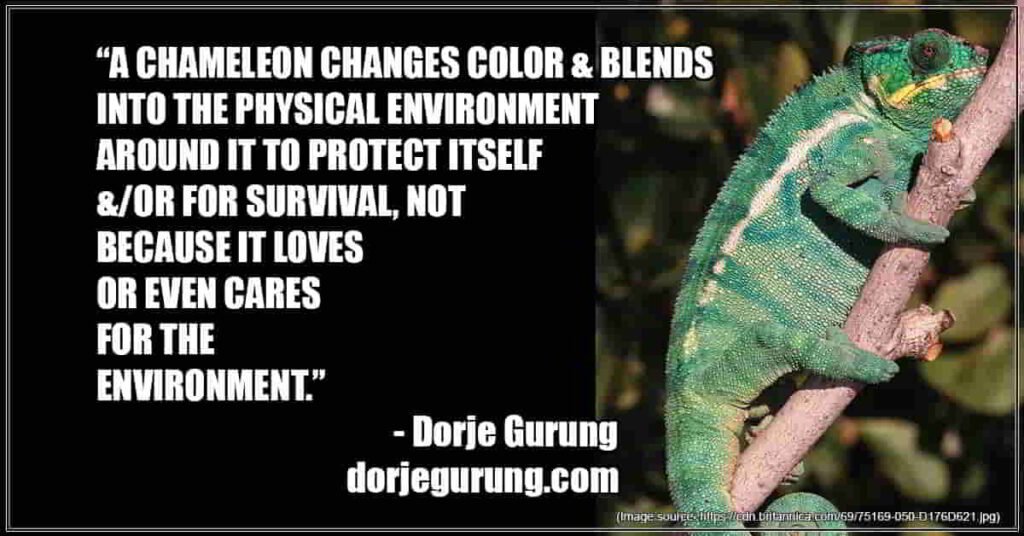 chameleon changes color and blends featimage