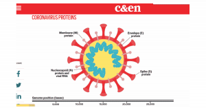 Read more about the article RNA, Mutation, and Possible Number of Genetically Different Coronavirus