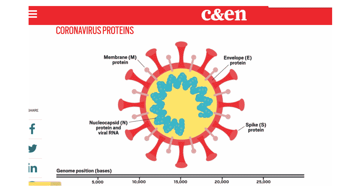 Read more about the article RNA, Mutation, and Possible Number of Genetically Different Coronavirus